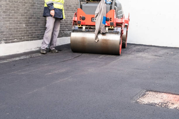 Siding Removal and Disposal